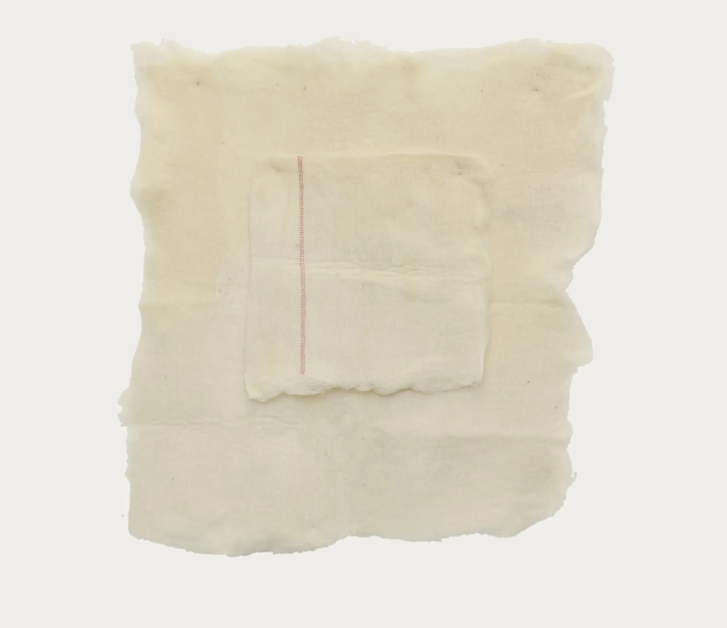 Will, 2023 — Jess Swney